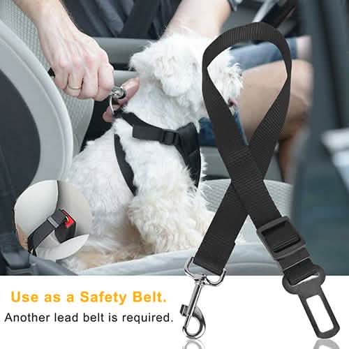 2-Pack: Multipurpose Pet Safety