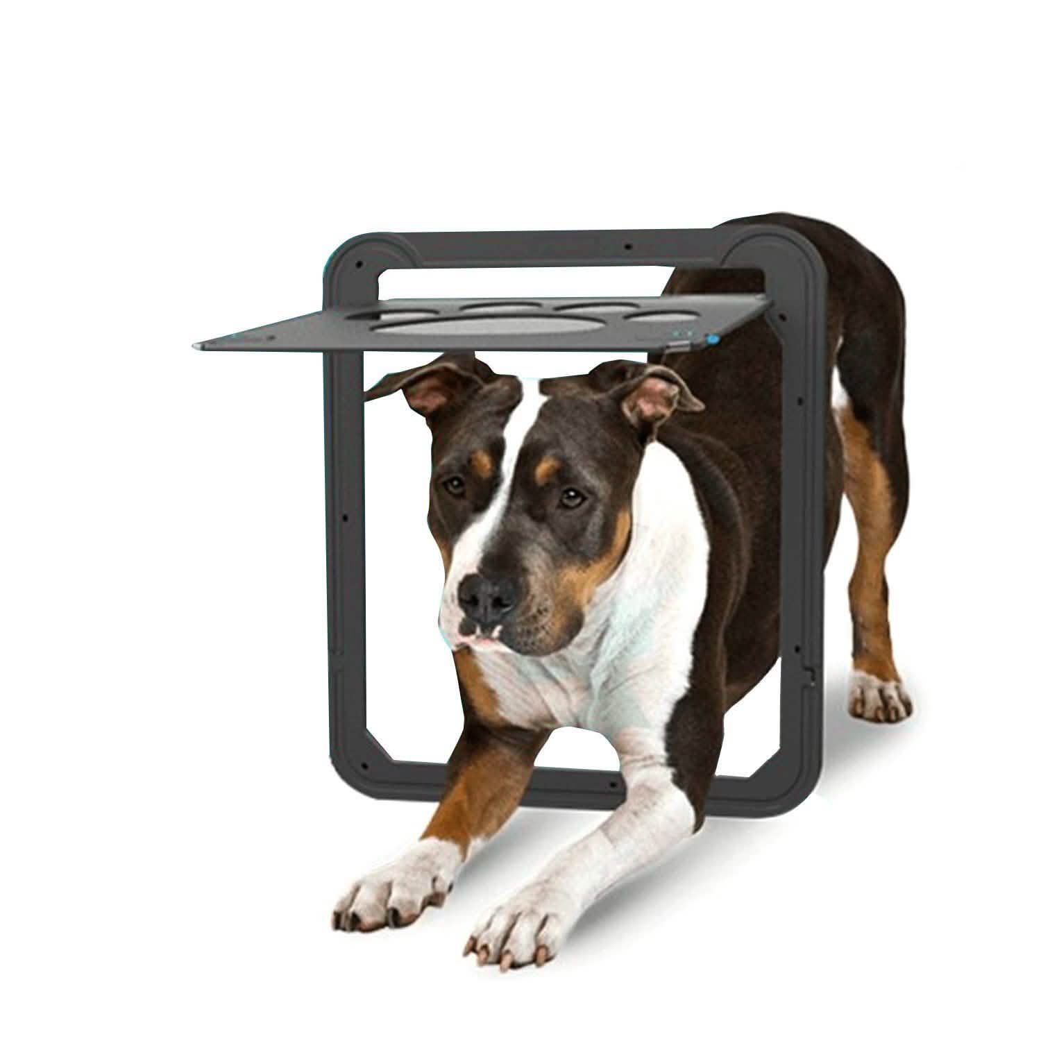 OWNPETS Pet Dog Magnetic Flap Screen Door